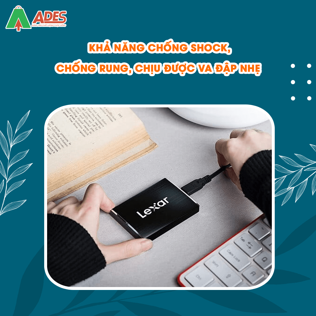 SSD Portable 512GB Lexar SL100