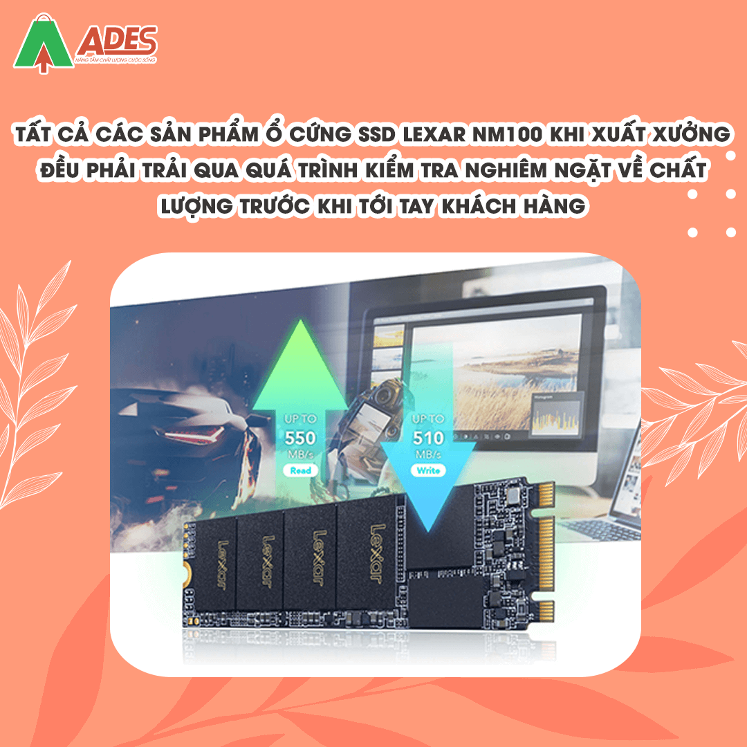 SSD Lexar NM100 256GB M.2 2280 (LNM100-256RB)