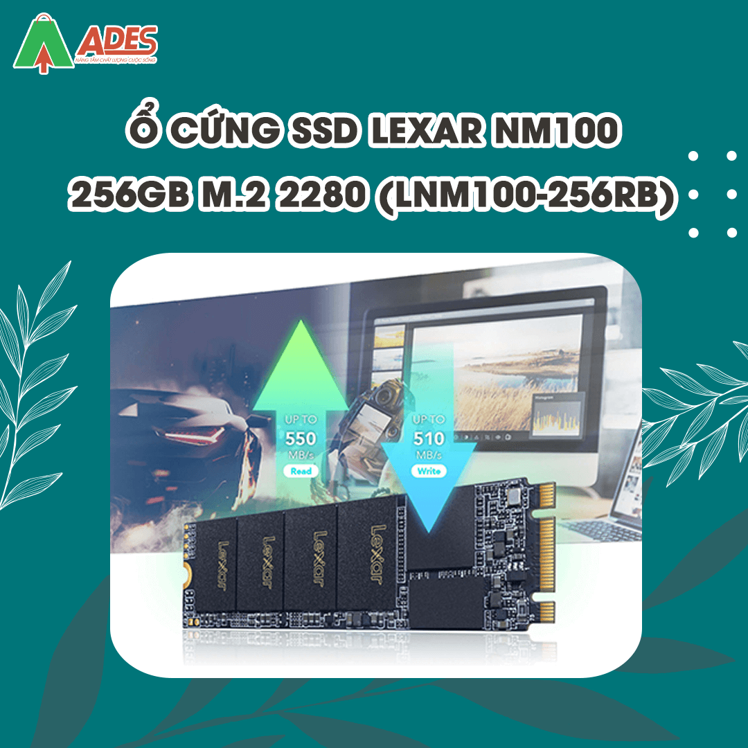SSD Lexar NM100 256GB M.2 2280 (LNM100-256RB)