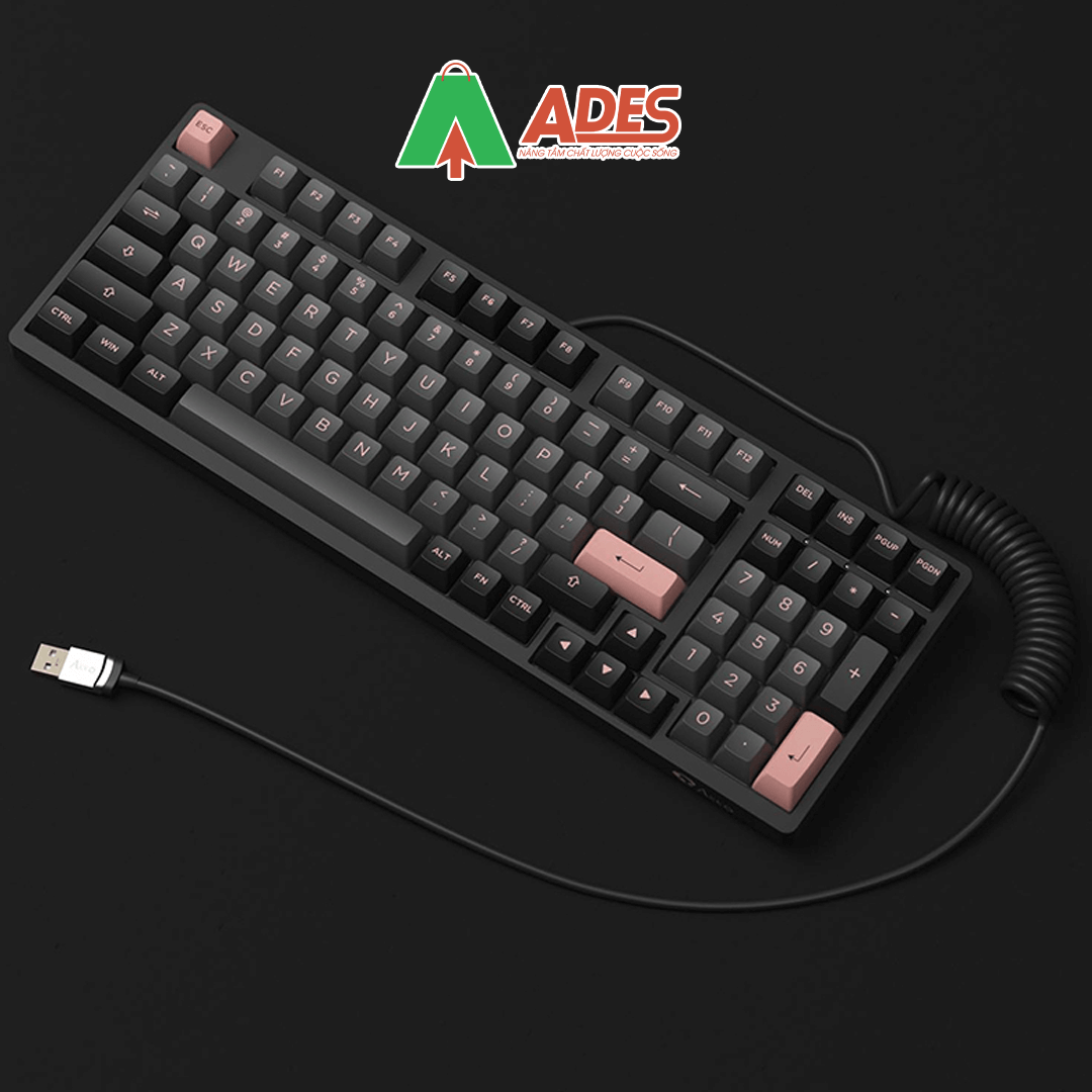 day cap custom Akko Coiled Cable 