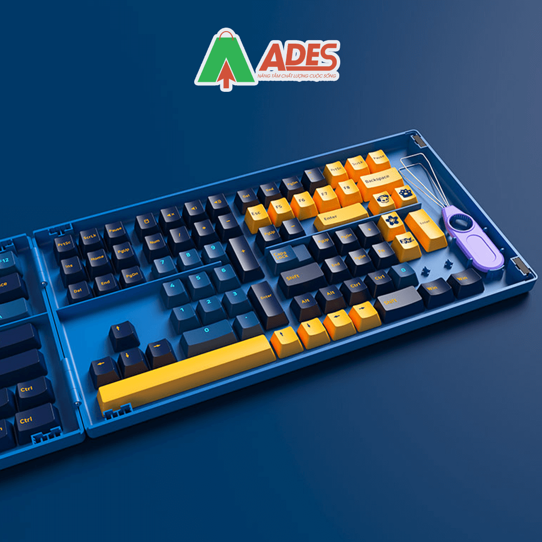 AKKO Keycap set – Macaw (PBT Double-Shot/Cherry profile/157 nút) | Công ...