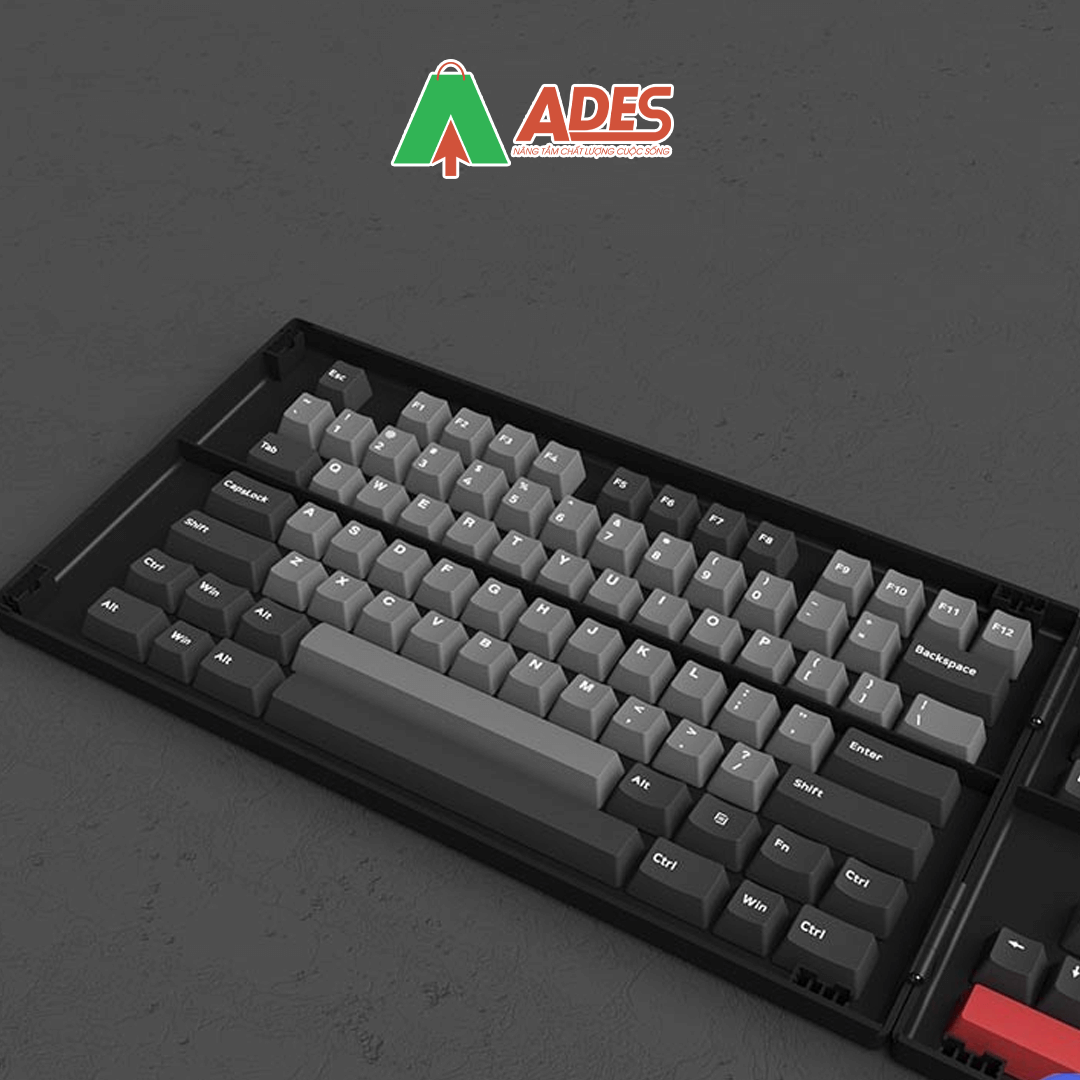 AKKO Keycap set – Psittacus