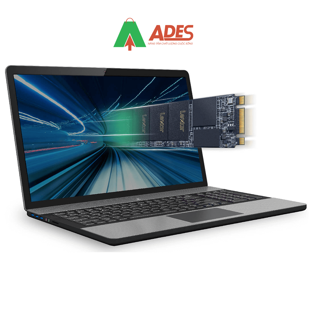 SSD Lexar NM100 256GB M.2 2280 (LNM100-256RB)