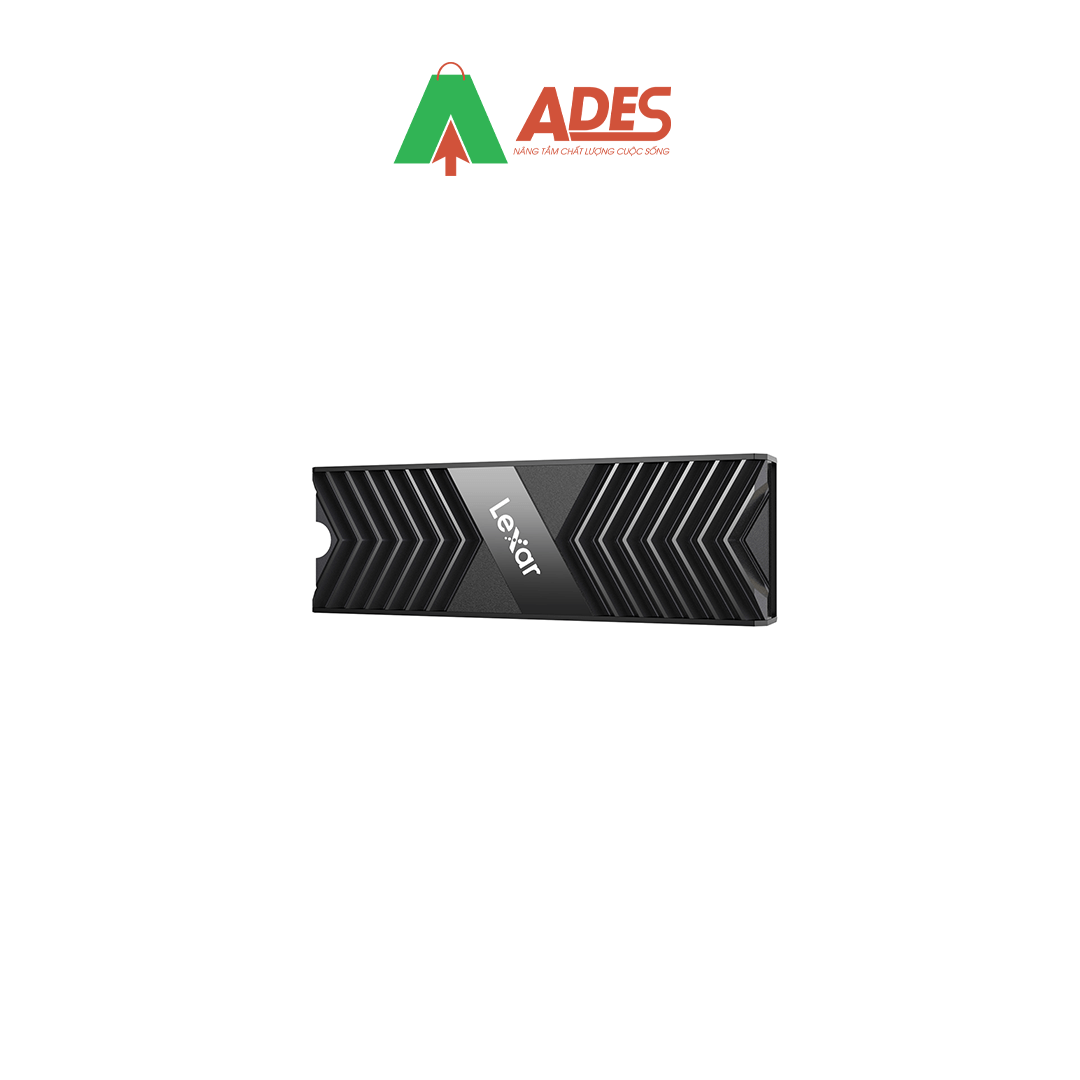 LEXAR NVME LPAH100-RNBNG