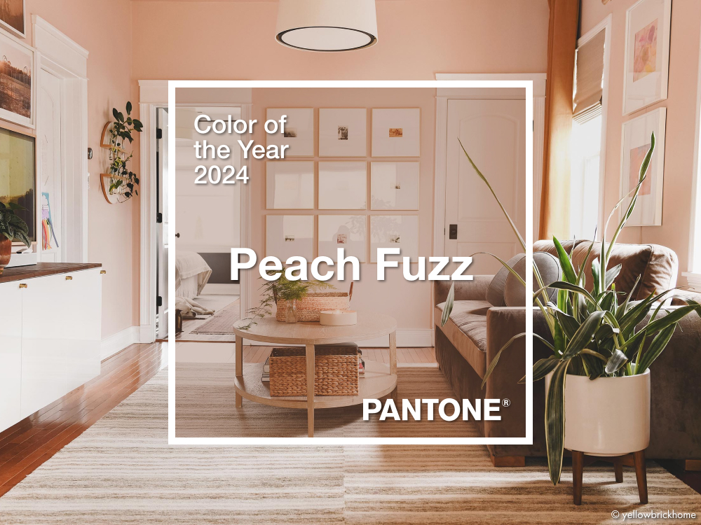Peach Fuzz | Color of the Year 2024 by PANTONE