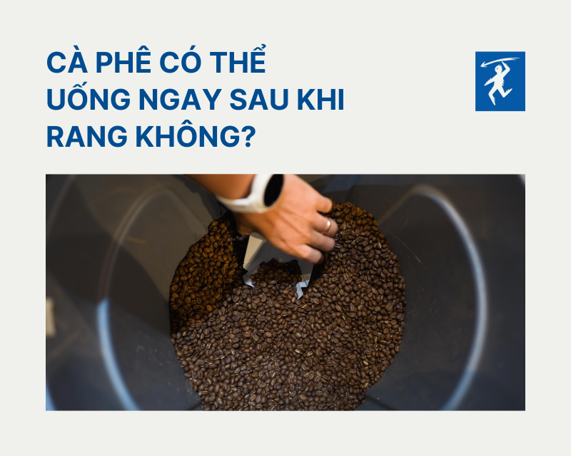 CÀ PHÊ CÓ THỂ UỐNG NGAY SAU KHI RANG KHÔNG?