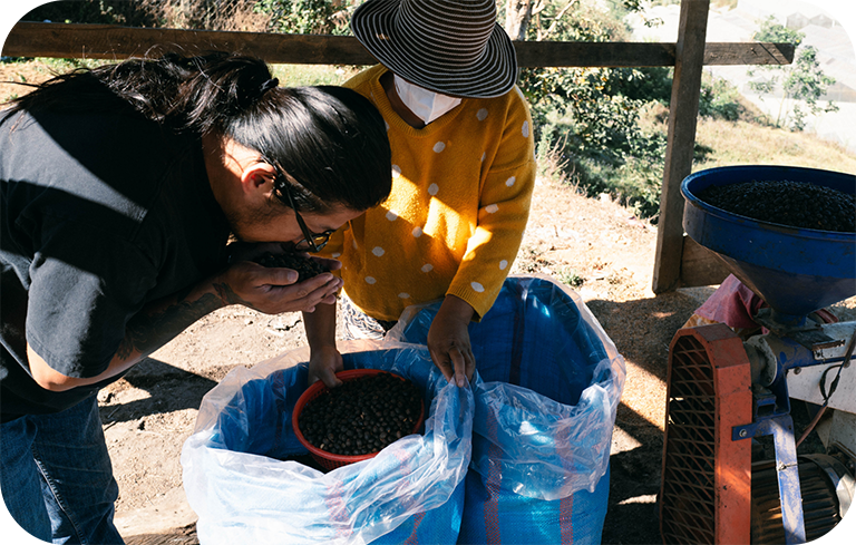Về Blue in Green Coffee Roasters