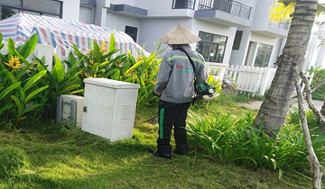 Tree care at services Bella Villa residence – Tran Anh Group