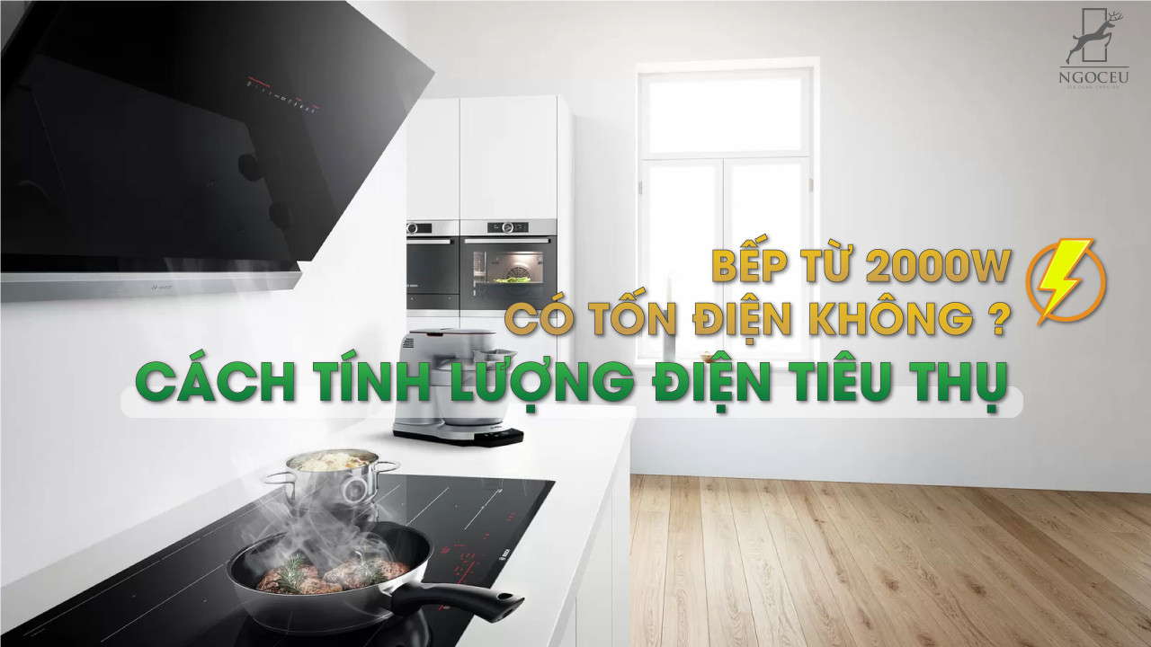 Bếp từ 2000w có tốn điện không? Bếp từ nào tiết kiệm điện?
