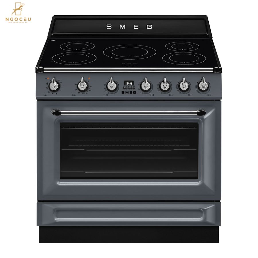 Bếp từ hỗn hợp kèm lò nướng Smeg TR90IPGR