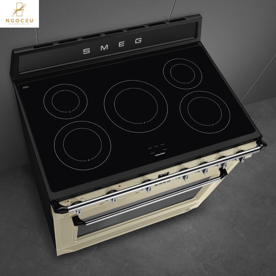 Bếp từ hỗn hợp kèm lò nướng Smeg TR90IPP