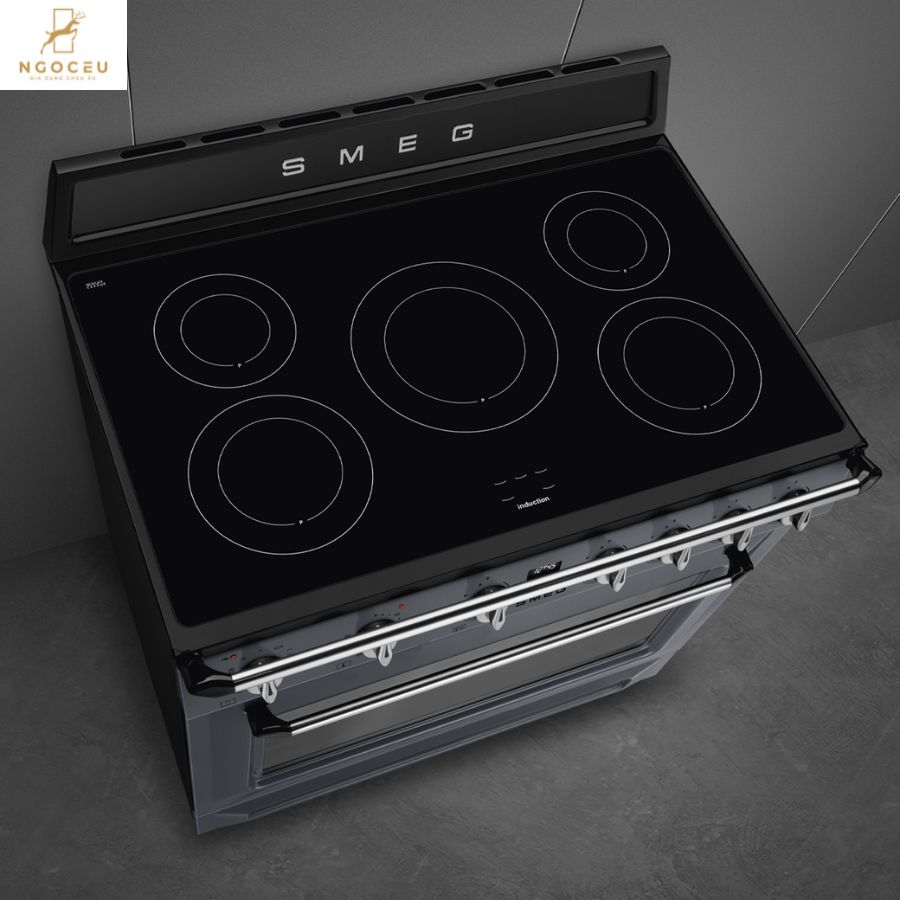 Bếp từ hỗn hợp kèm lò nướng Smeg TR90IPGR