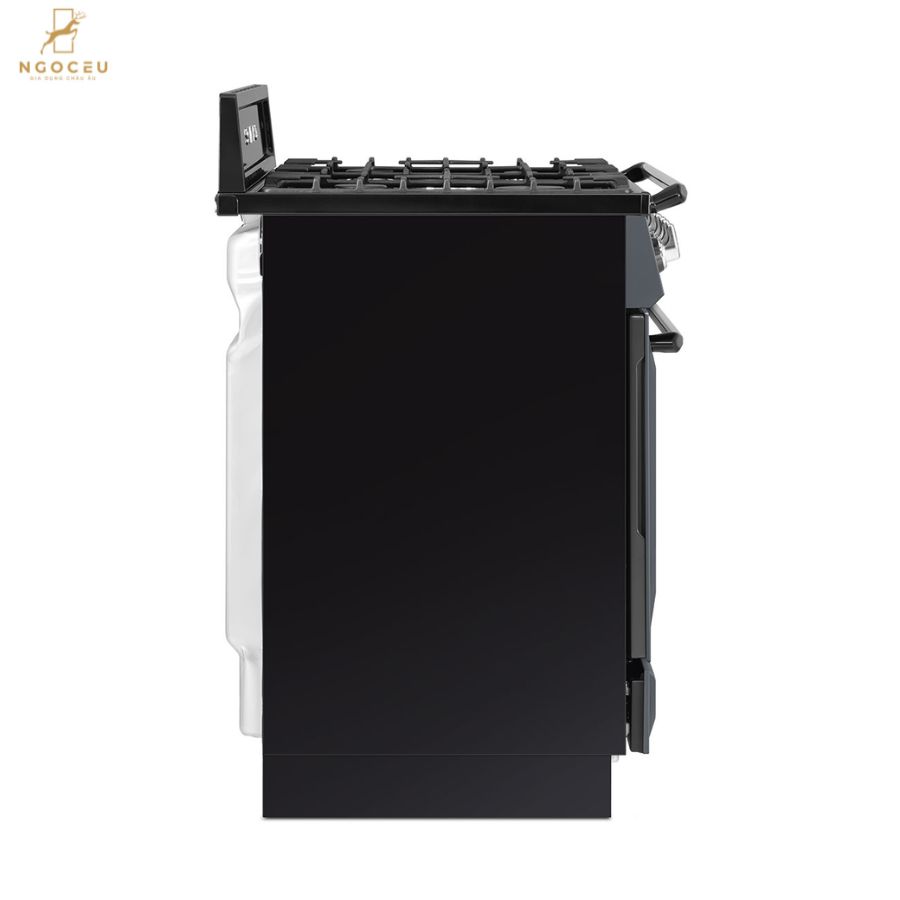 Bếp gas hỗn hợp kèm lò nướng Smeg TR90GMGR