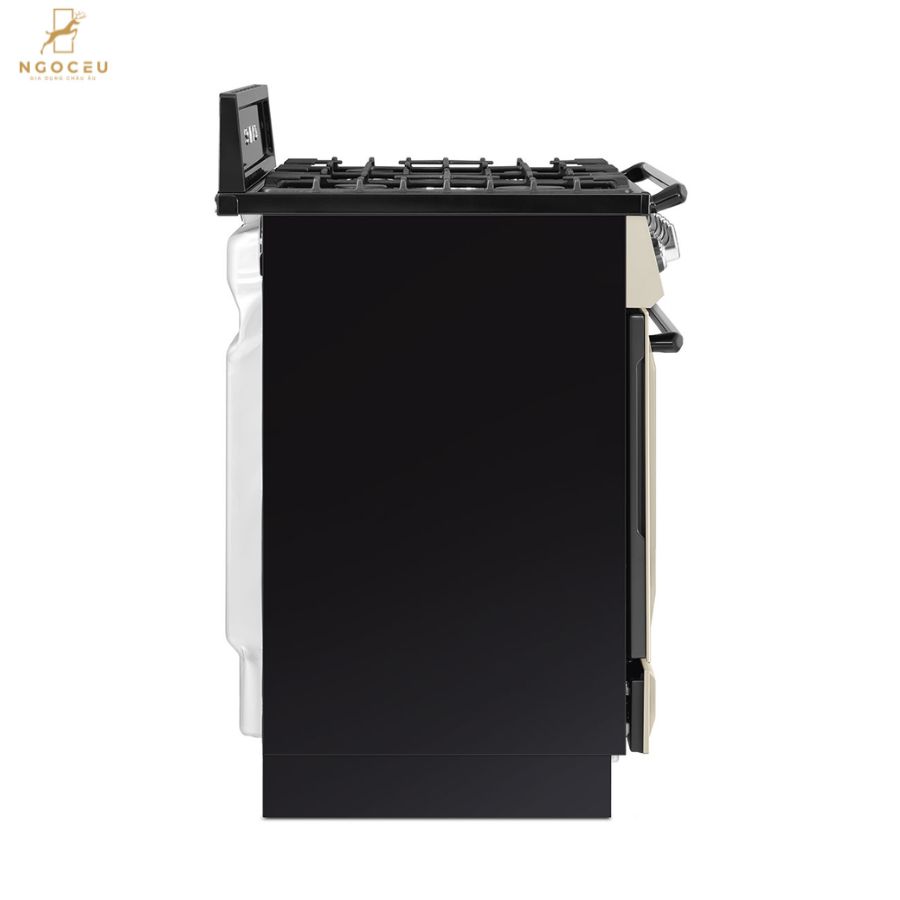 Bếp gas hỗn hợp kèm lò nướng Smeg TR90GMP