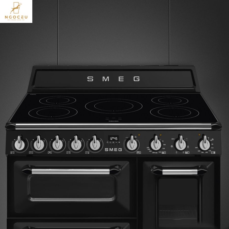 Bếp từ hỗn hợp kèm lò nướng Smeg TR93IBL2