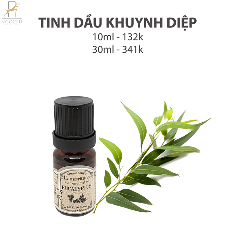 Tinh dầu Khuynh Diệp 10ml