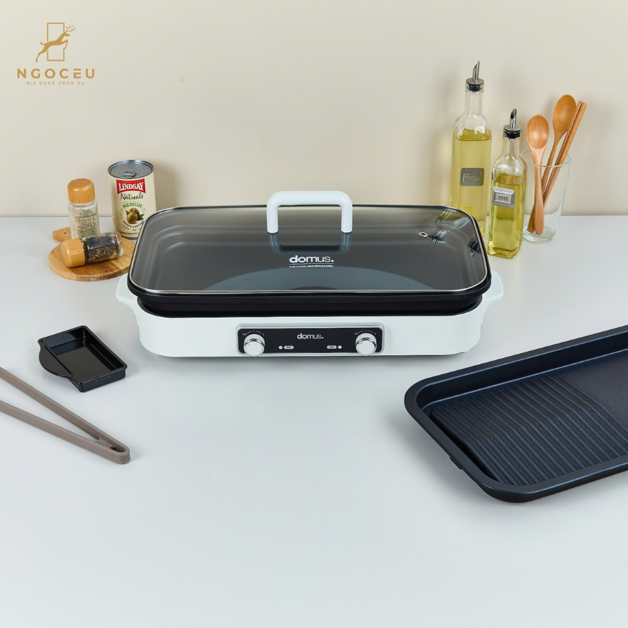 Bếp lẩu nước, nướng nướng 2 đĩa Dupan DP-2301