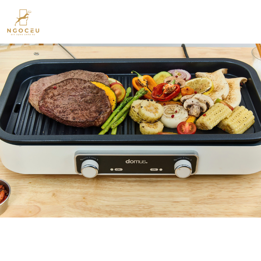 Bếp lẩu nước, nướng nướng 2 đĩa Dupan DP-2301