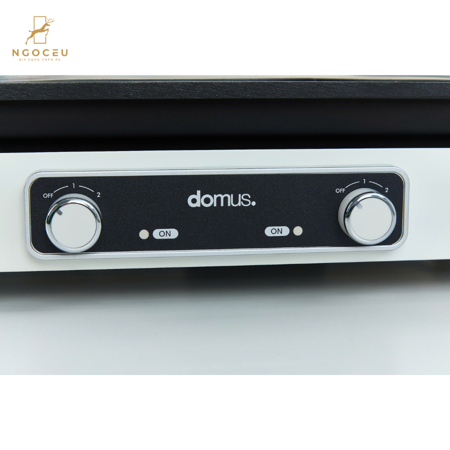 Bếp lẩu nước, nướng nướng 2 đĩa Dupan DP-2301