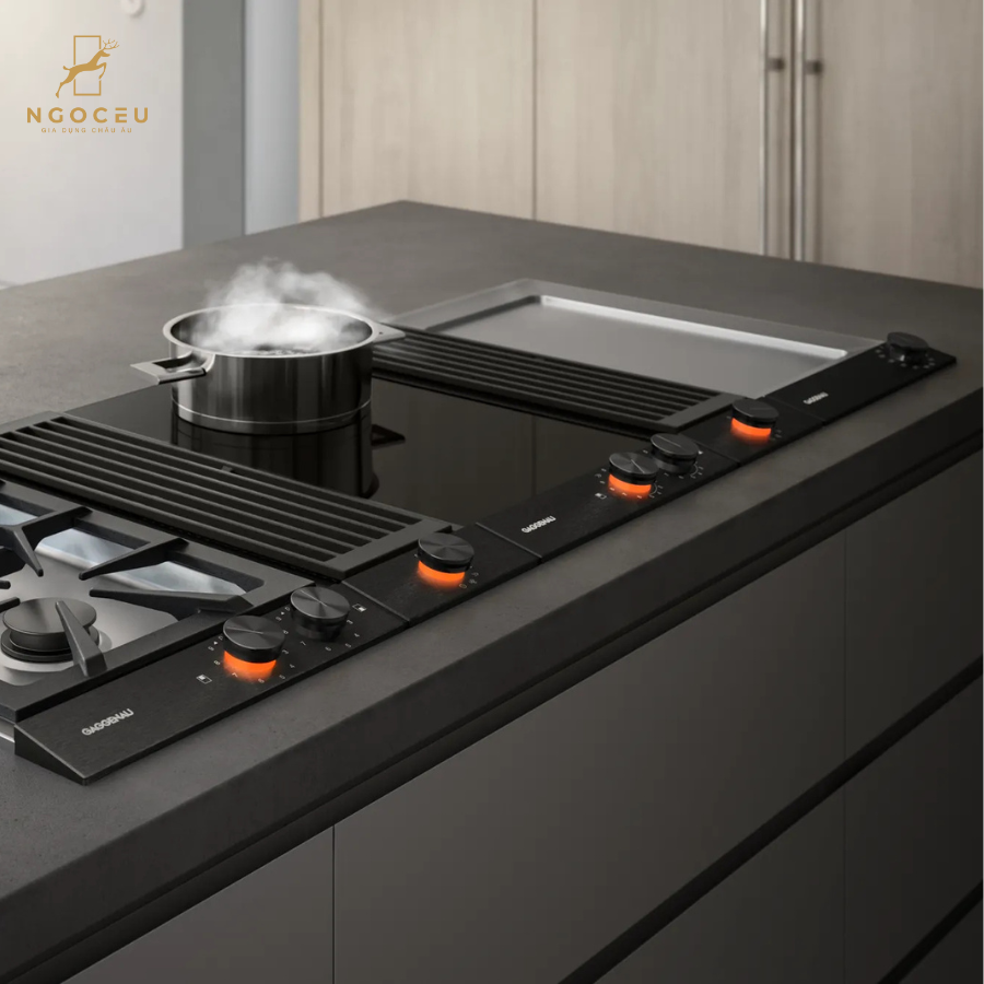 Bếp điện Gaggenau VP230120 - Serie 200