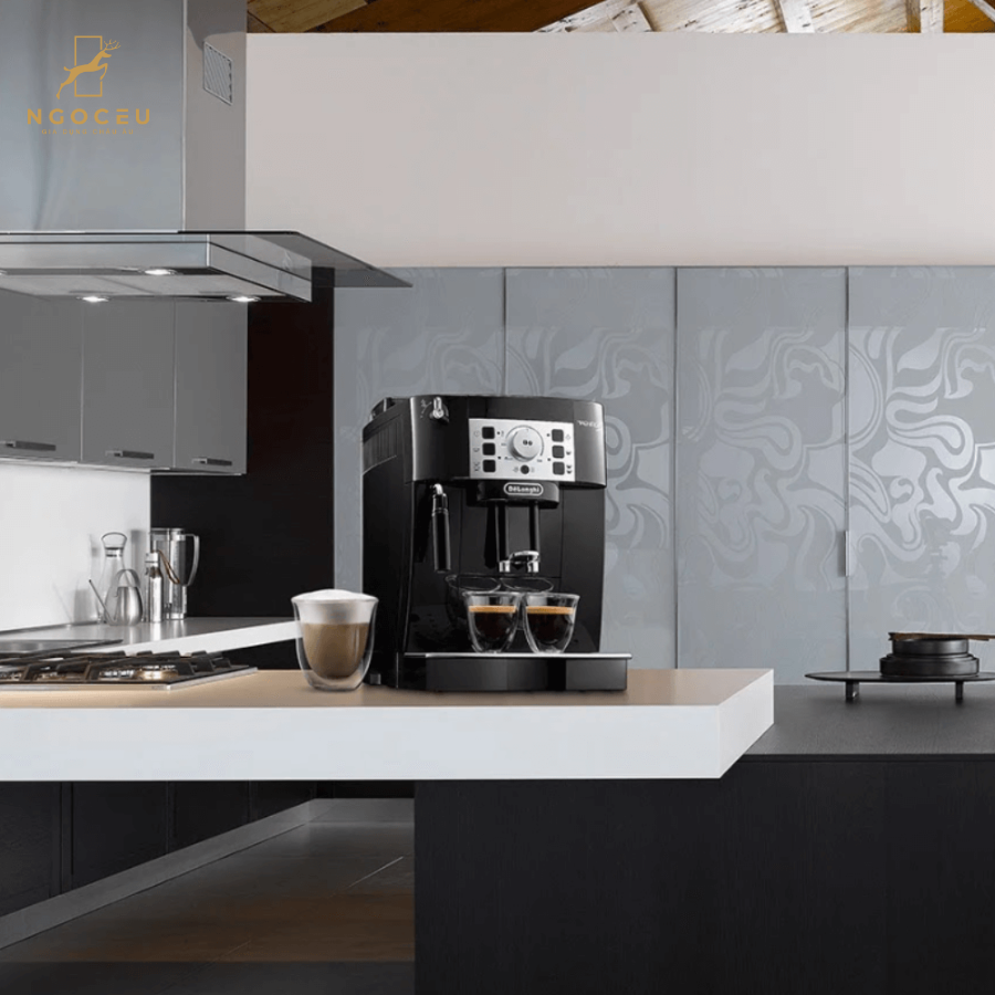 Máy pha cà phê DeLonghi Magnifica S ECAM 22105B