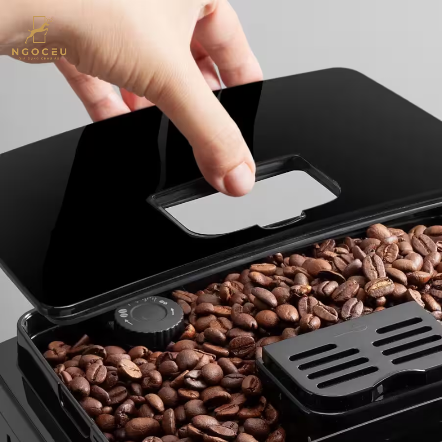 Máy pha cà phê DeLonghi Magnifica S Smart ECAM 230.13.B