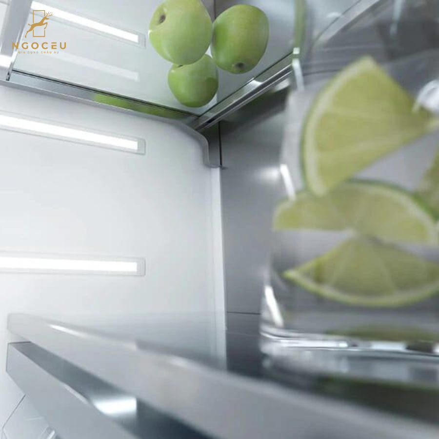Tủ đông Miele FNS 28463 E