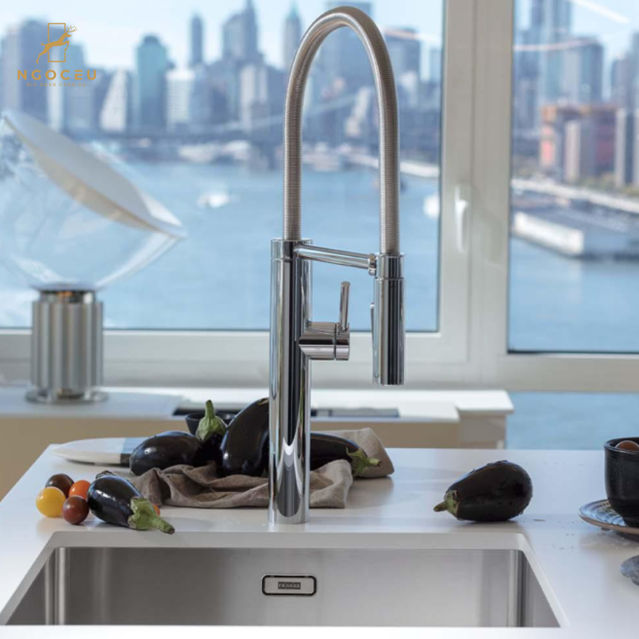 Vòi rửa bát Franke Pescara Semi-Pro XL - 115.0393.974