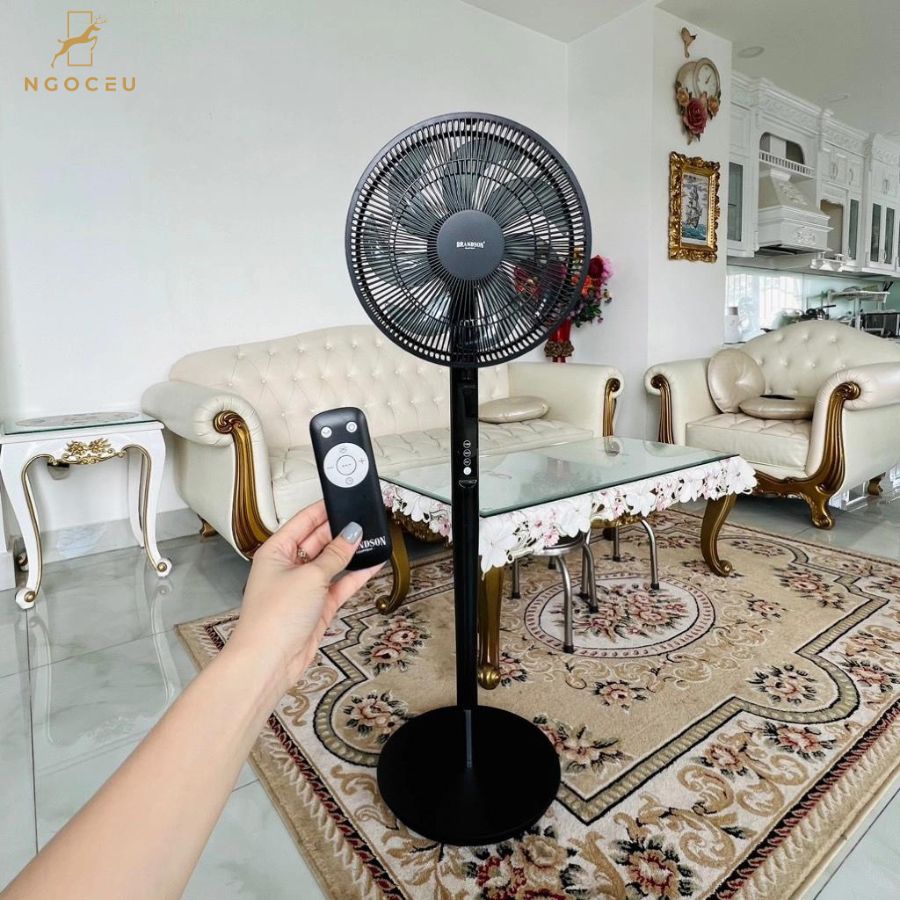 Quạt cây Brandson Dc Eco