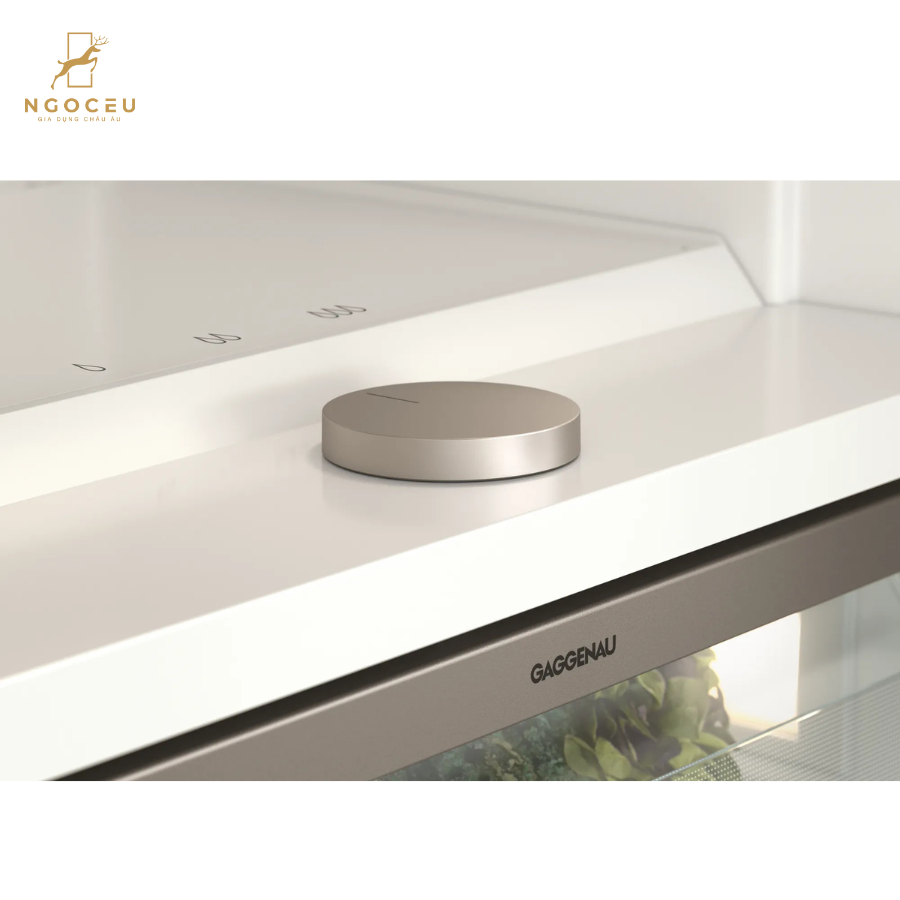 Tủ mát kết hợp tủ đông 223L - Gaggenau RB289300 - Serie 400