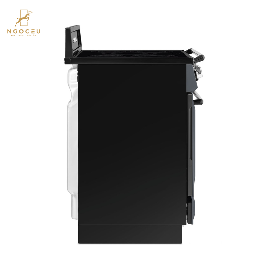 Bếp từ hỗn hợp kèm lò nướng Smeg TR90IMGR