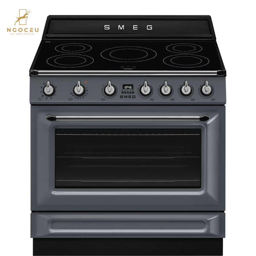 Bếp từ hỗn hợp kèm lò nướng Smeg TR90IMGR
