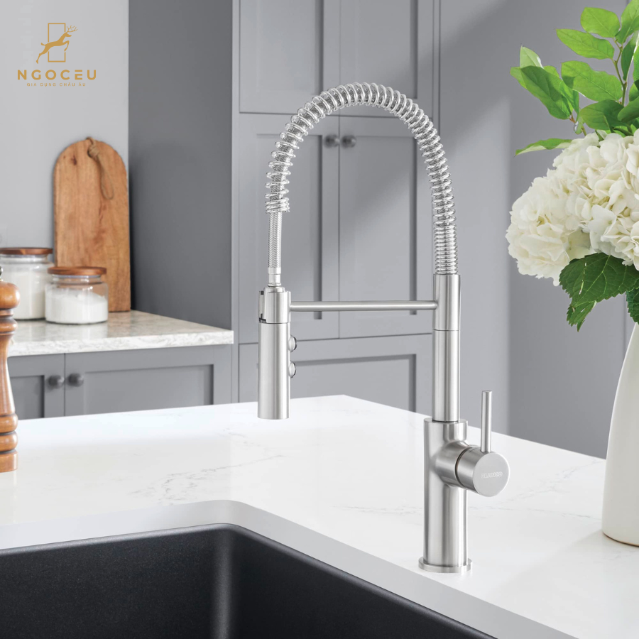 Vòi rửa bát Blanco Catris - 401918