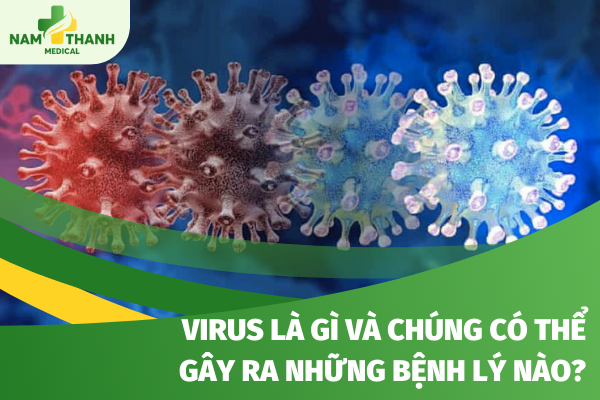 Virus là gì và chúng có thể gây ra những bệnh lý nào?