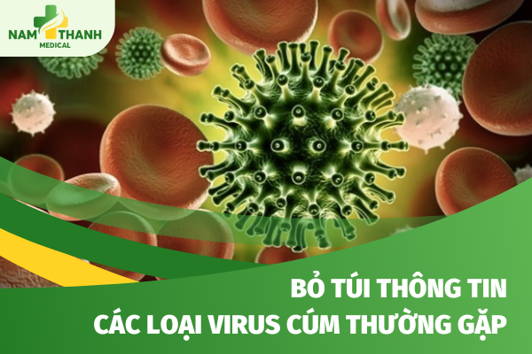 Bỏ túi thông tin các loại virus cúm thường gặp