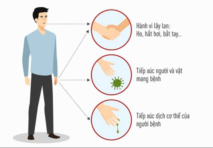 Con đường lây bệnh của virus corona