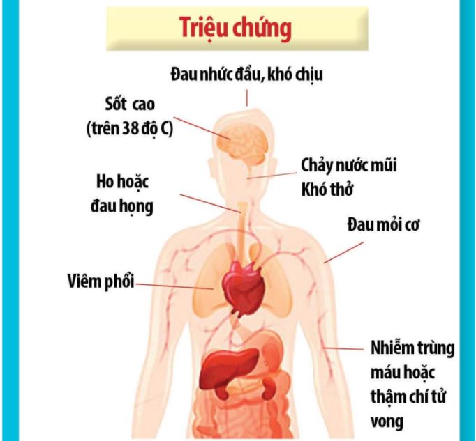 Những điều cần biết về virus viêm phổi trung quốc