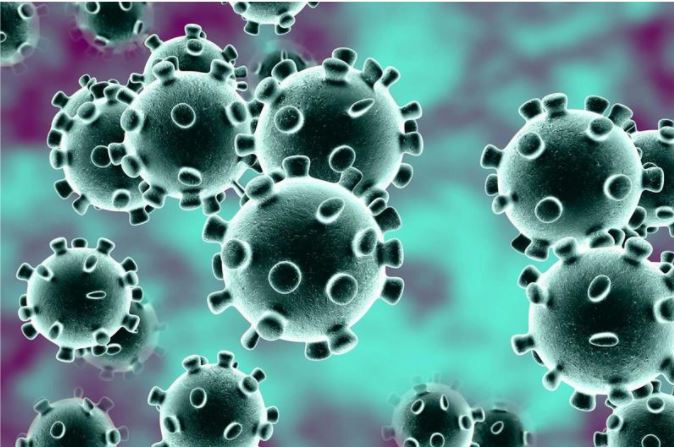 Tổng quan về virus và sự hình thành và tác hại của virus