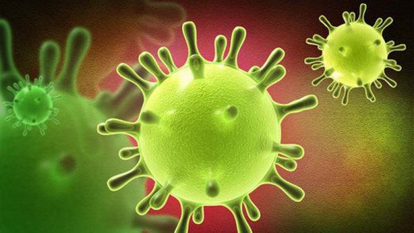 Viêm phổi virus corona và những cách phòng tránh bạn cần biết