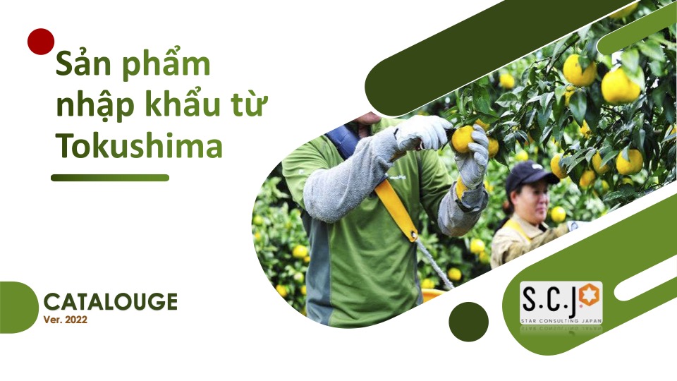 Catalog của sản phẩm Tokushima