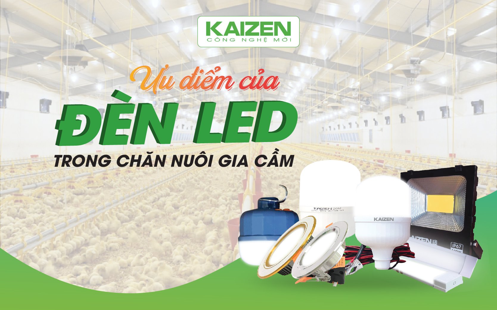 Ưu điểm của đèn LED trong chăn nuôi gia cầm.