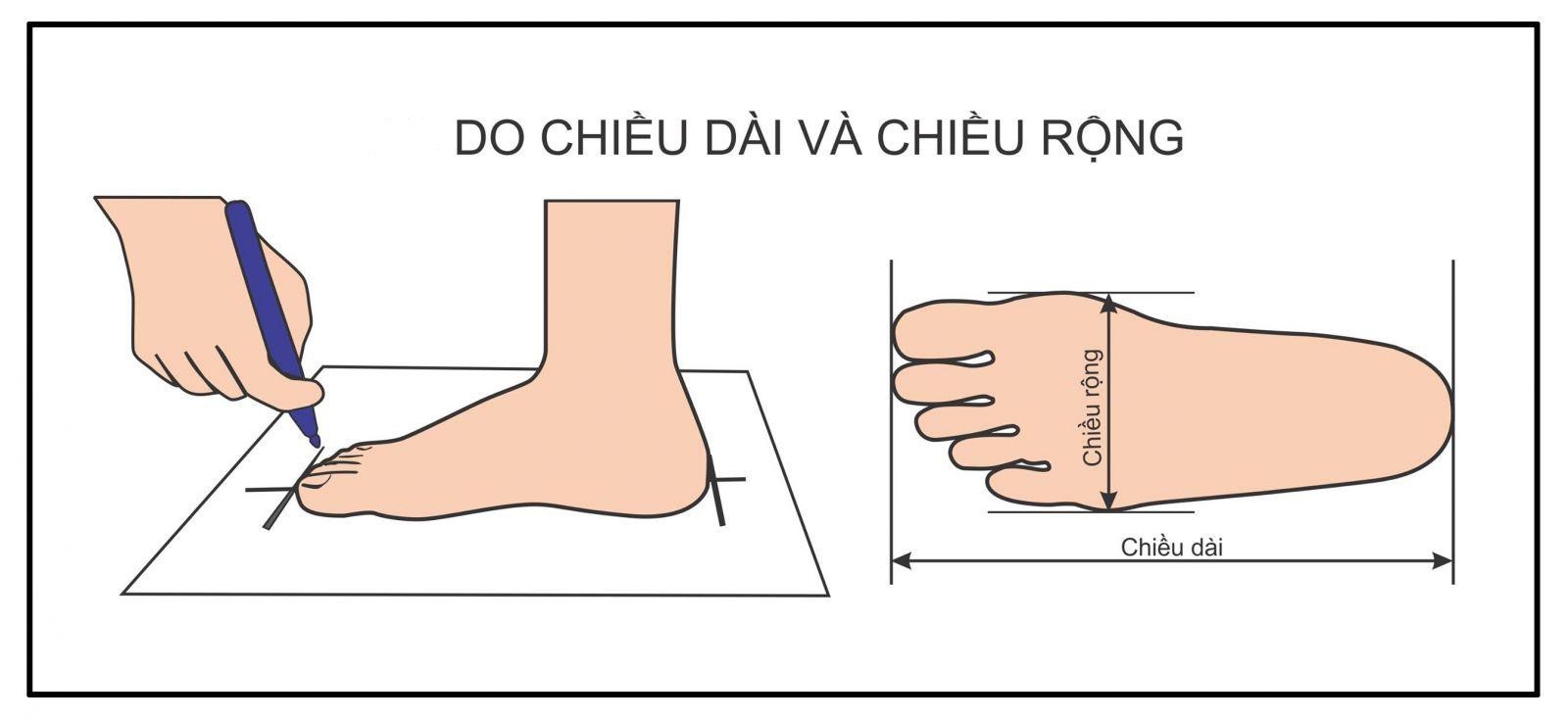 Đặt chân lên tờ giấy để đo chiều dài chân