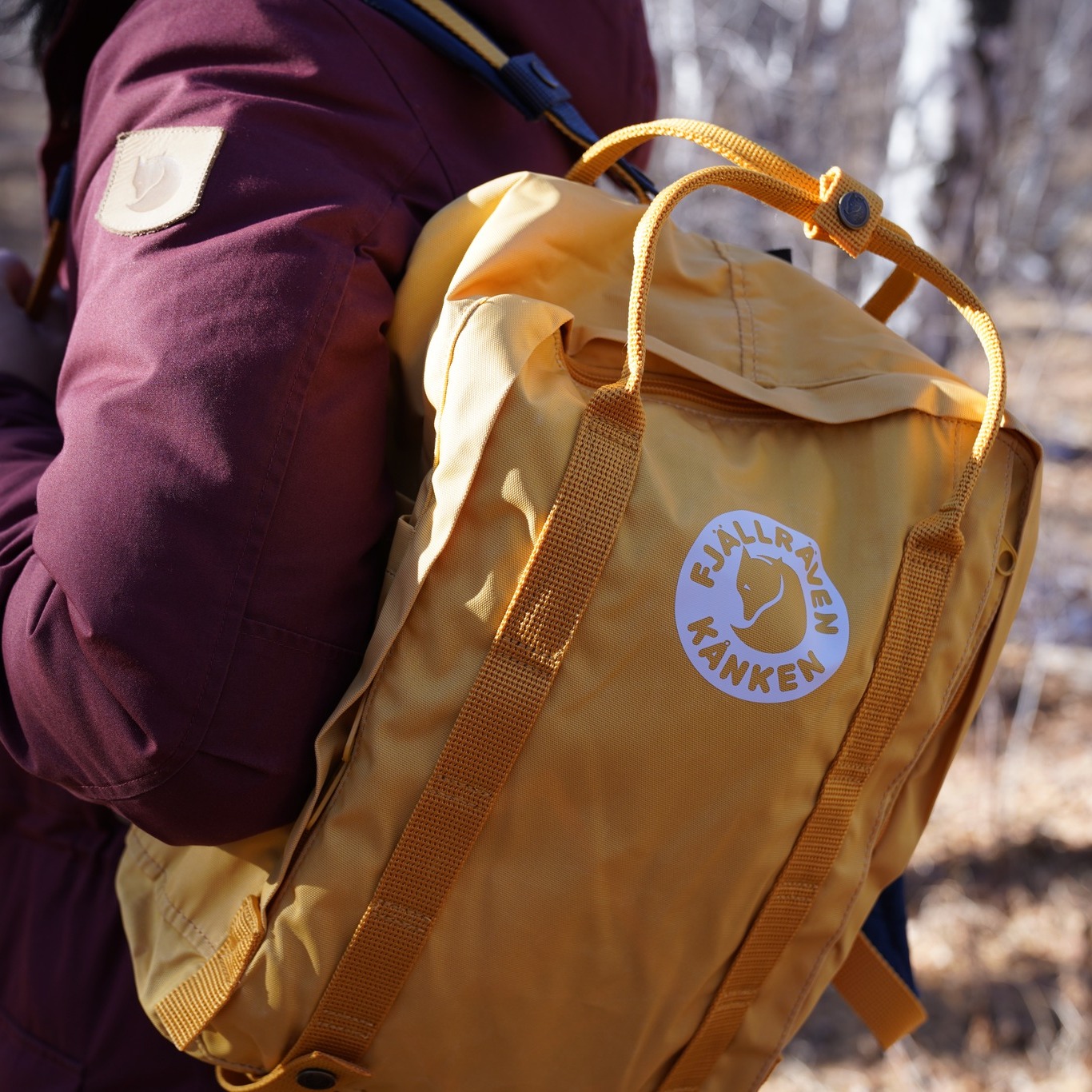 Balo Daypack Tree Kanken
