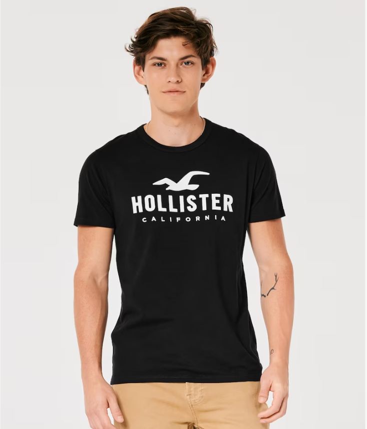 Áo phông  ngắn tay Hollister