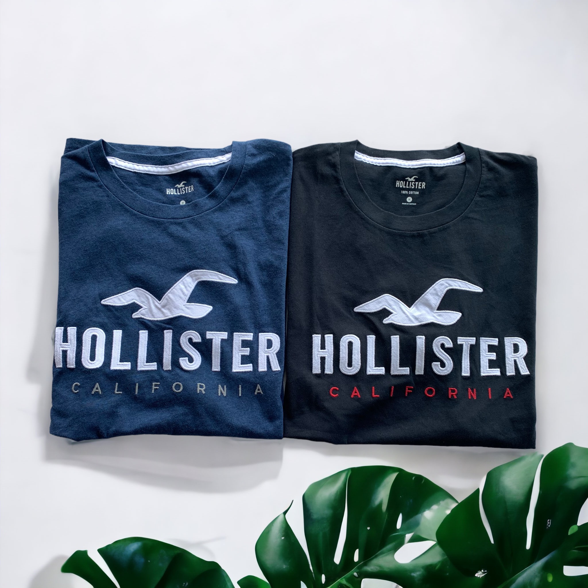 Áo phông  ngắn tay Hollister