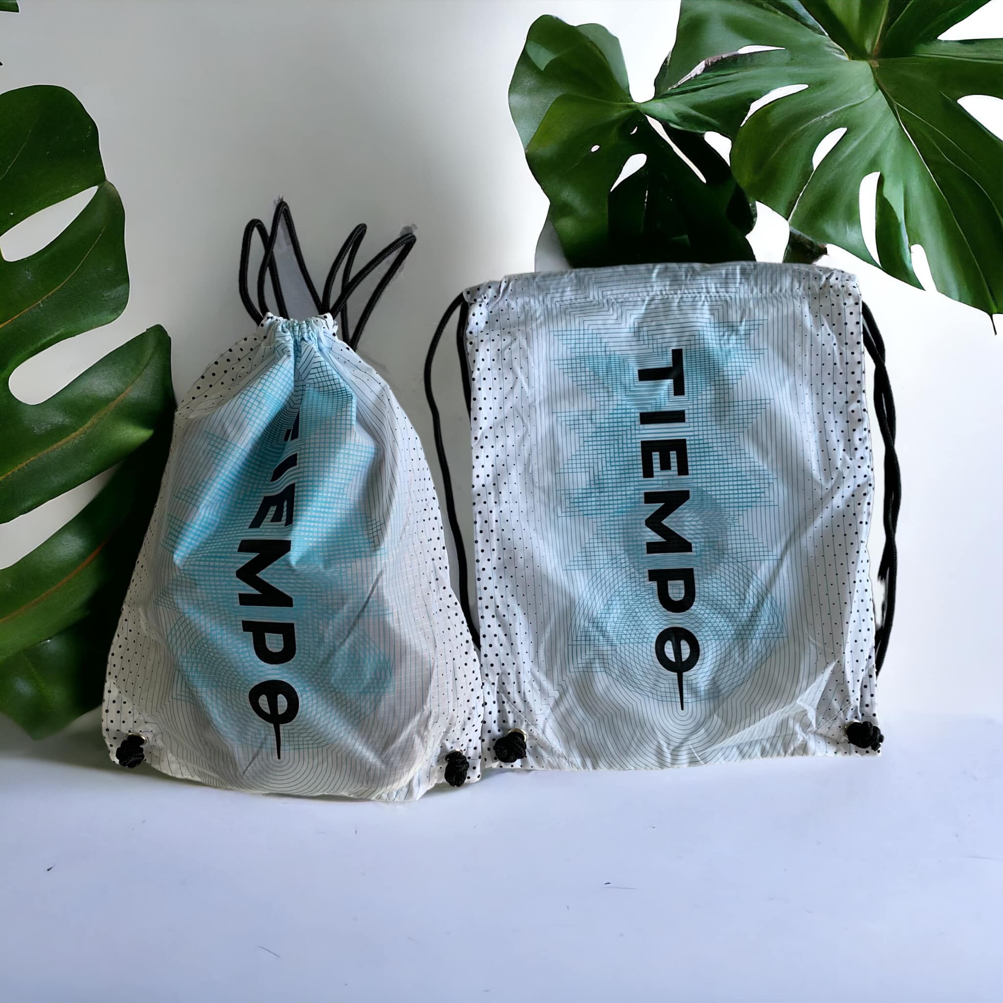 Túi đựng giày Nike