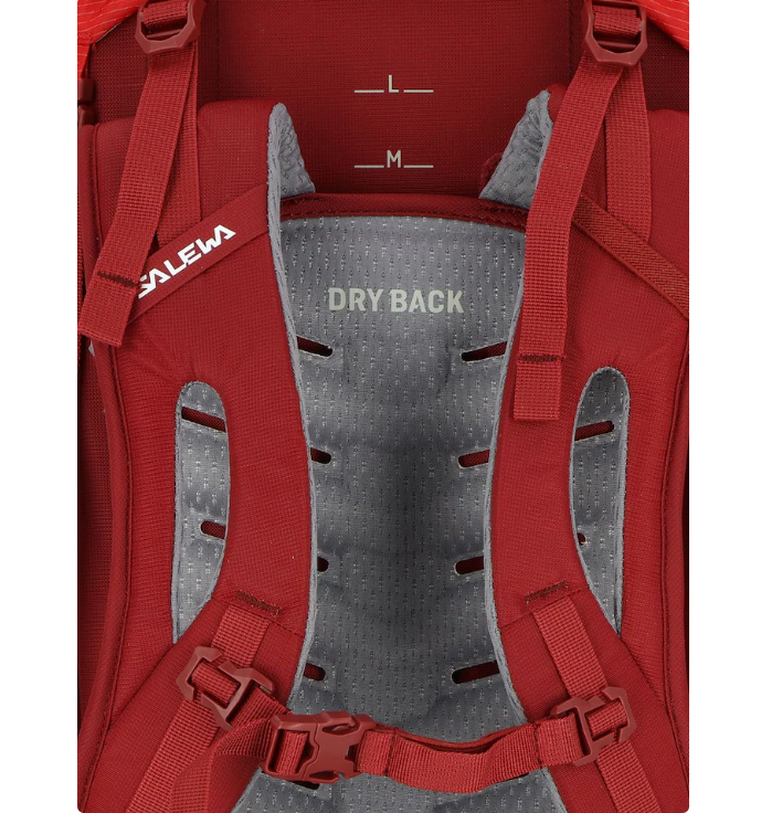 Ba lô SALEWA Sports Backpack 'Alptrek