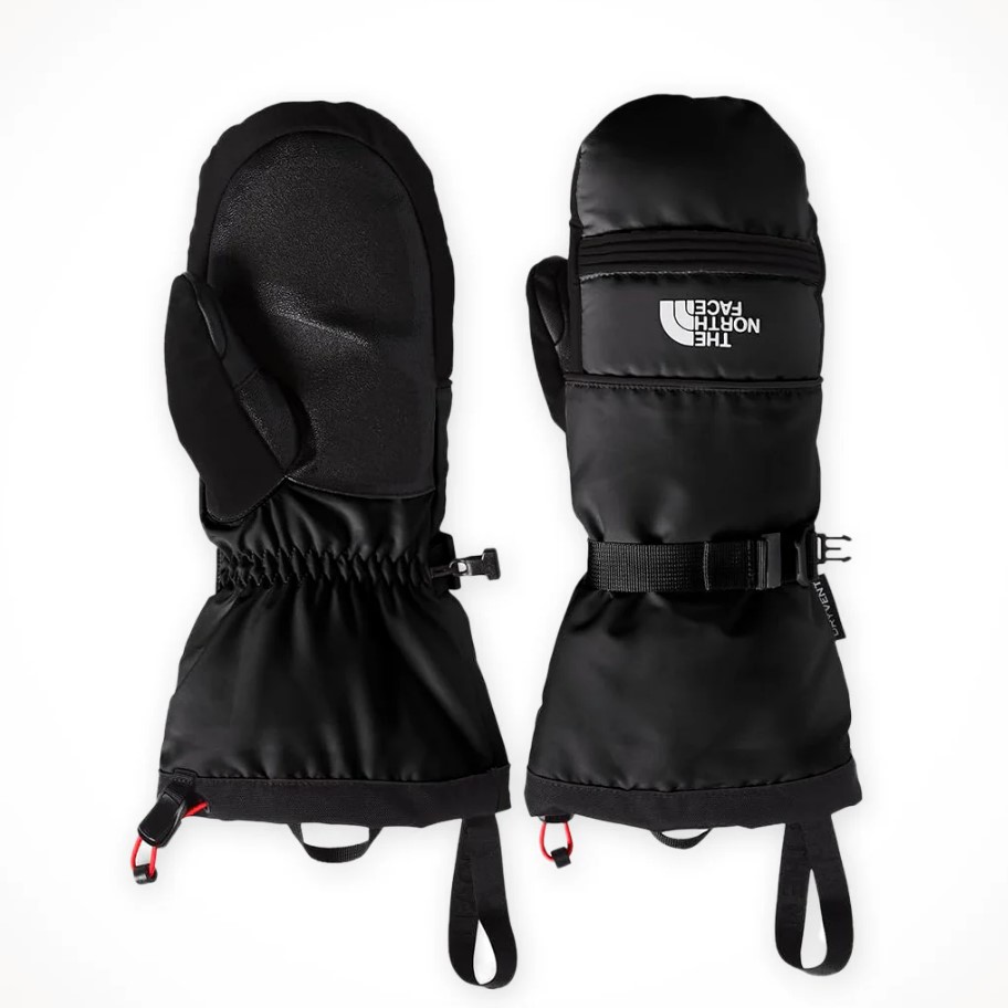 Găng tay đi tuyết nam Montana Mitt TNF