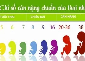 BẢNG CÂN NẶNG THAI NHI THEO TUẦN TUỔI CHUẨN WHO MỚI NHẤT 2019