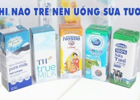 KHI NÀO THÌ CHO TRẺ UỐNG SỮA TƯƠI? UỐNG BAO NHIÊU SỮA TƯƠI LÀ ĐỦ?